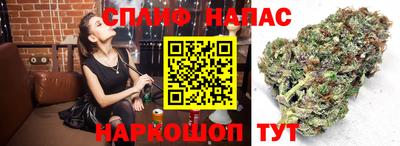прущие грибы Бузулук