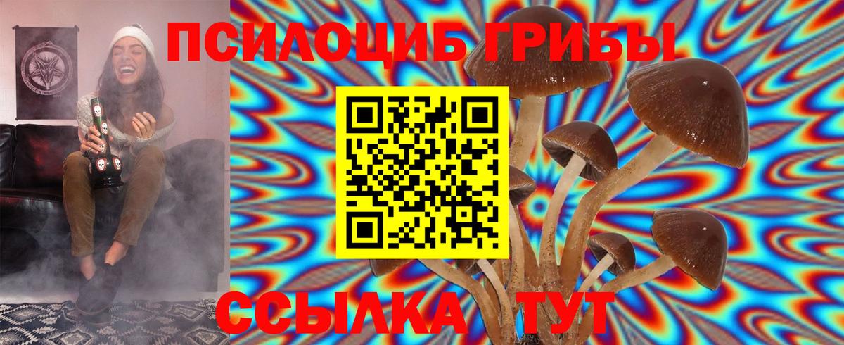 Галлюциногенные грибы Magic Shrooms Чапаевск